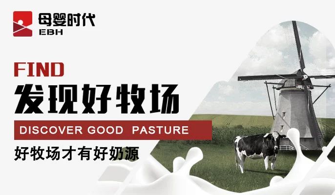 羞羞网站在线免费观看五年磨一剑，已经站上高速发展的起跑线——陕西之新秀篇