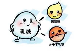 90%以上的人都有“乳糖不耐症”，宝妈春季实力之选